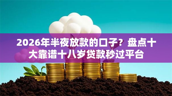 2026年半夜放款的口子？盘点十大靠谱十八岁贷款秒过平台