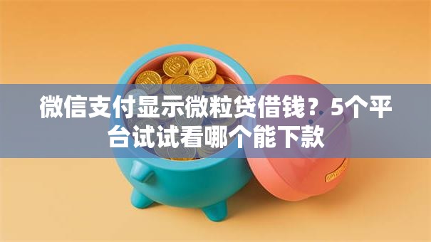 微信支付显示微粒贷借钱?5个平台试试看哪个能下款 微信支付显示微粒贷借钱?5个平台试试看哪个能下款