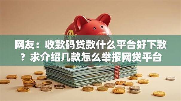 网友：收款码贷款什么平台好下款？求介绍几款怎么举报网贷平台