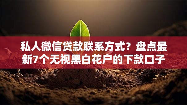 私人微信贷款联系方式？盘点最新7个无视黑白花户的下款口子