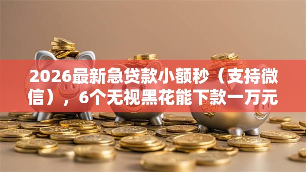 2026最新急贷款小额秒（支持微信），6个无视黑花能下款一万元口子无私分享