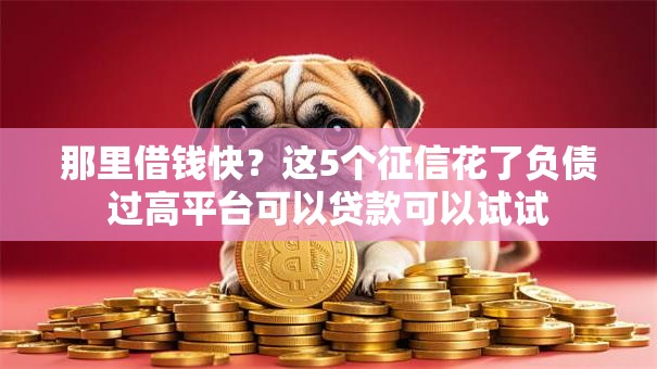 那里借钱快?这5个征信花了负债过高平台可以贷款可以试试 那里借钱快?这5个征信花了负债过高平台可以贷款可以试试
