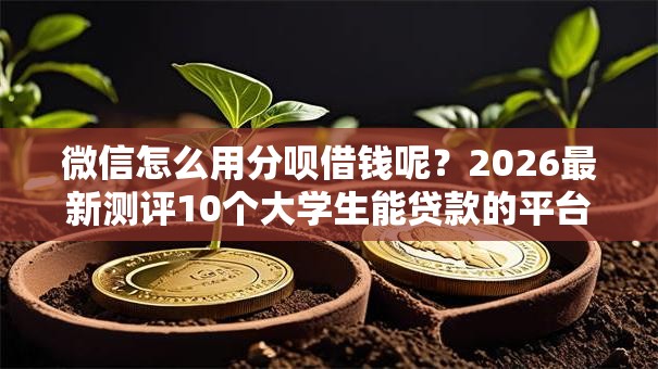 微信怎么用分呗借钱呢?2026最新测评10个大学生能贷款的平台 微信怎么用分呗借钱呢?2026最新测评10个大学生能贷款的平台