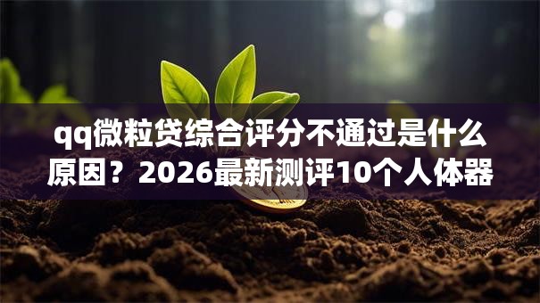 qq微粒贷综合评分不通过是什么原因？2026最新测评10个人体器官贷款平台