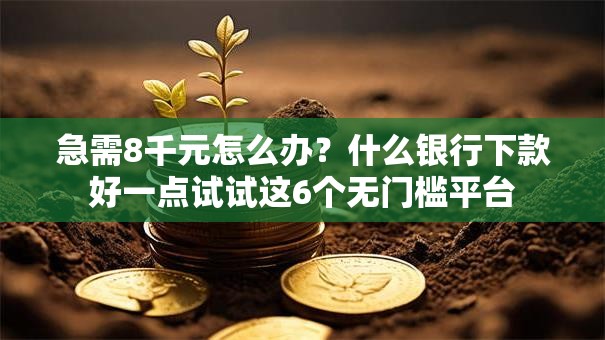 急需8千元怎么办？什么银行下款好一点试试这6个无门槛平台