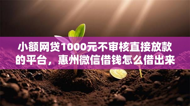 小额网贷1000元不审核直接放款的平台,惠州微信借钱怎么借出来的8个平台介绍 小额网贷1000元不审核直接放款的平台,惠州微信借钱怎么借出来的8个平台介绍