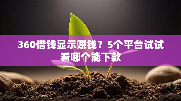 360借钱显示赚钱？5个平台试试看哪个能下款