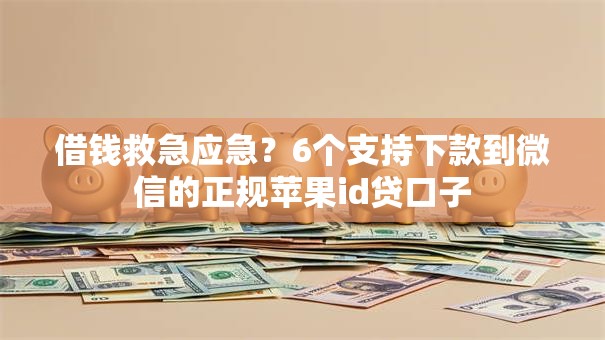 借钱救急应急?6个支持下款到微信的正规苹果id贷口子 借钱救急应急?6个支持下款到微信的正规苹果id贷口子