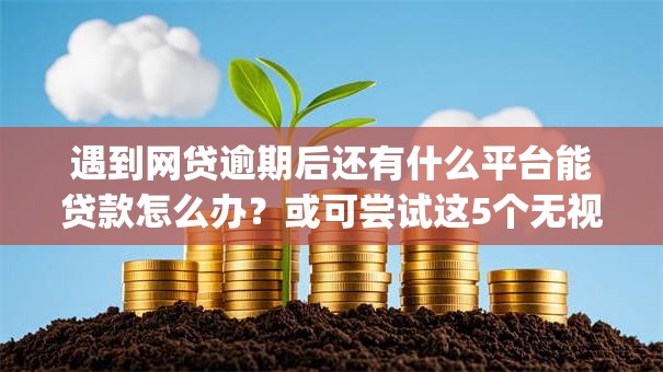 遇到网贷逾期后还有什么平台能贷款怎么办?或可尝试这5个无视负债快速下款长期网贷的app 遇到网贷逾期后还有什么平台能贷款怎么办?或可尝试这5个无视负债快速下款长期网贷的app