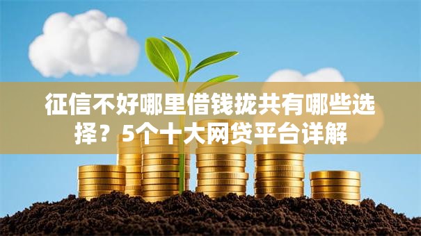 征信不好哪里借钱拢共有哪些选择？5个十大网贷平台详解