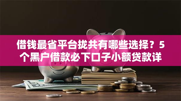 借钱最省平台拢共有哪些选择？5个黑户借款必下口子小额贷款详解