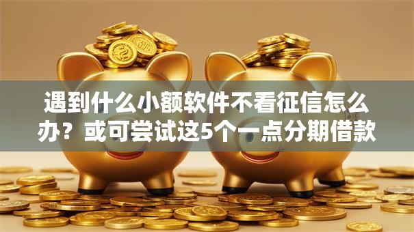遇到什么小额软件不看征信怎么办？或可尝试这5个一点分期借款平台