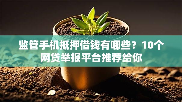 监管手机抵押借钱有哪些？10个网贷举报平台推荐给你