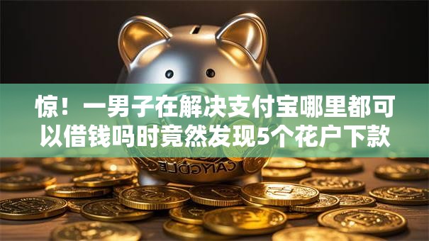 惊！一男子在解决支付宝哪里都可以借钱吗时竟然发现5个花户下款的口子2025，事后分享了出来