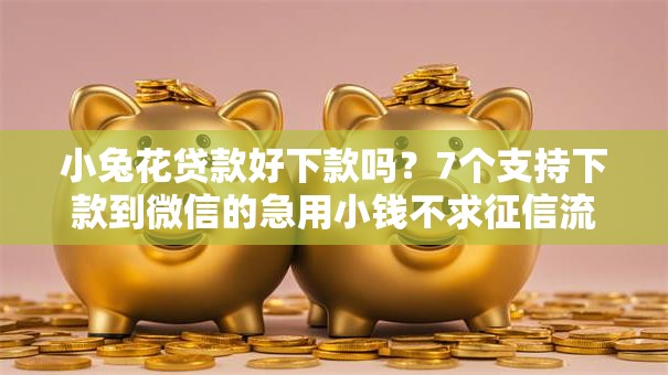 小兔花贷款好下款吗?7个支持下款到微信的急用小钱不求征信流水轻松贷的平台 小兔花贷款好下款吗?7个支持下款到微信的急用小钱不求征信流水轻松贷的平台