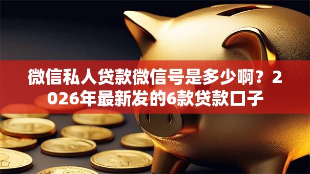微信私人贷款微信号是多少啊？2026年最新发的6款贷款口子