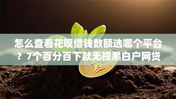 怎么查看花呗借钱数额选哪个平台?7个百分百下款无视黑白户网贷app推荐 怎么查看花呗借钱数额选哪个平台?7个百分百下款无视黑白户网贷app推荐