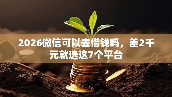 2026微信可以去借钱吗，差2千元就选这7个平台