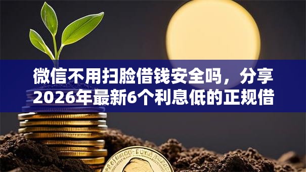 微信不用扫脸借钱安全吗，分享2026年最新6个利息低的正规借钱平台