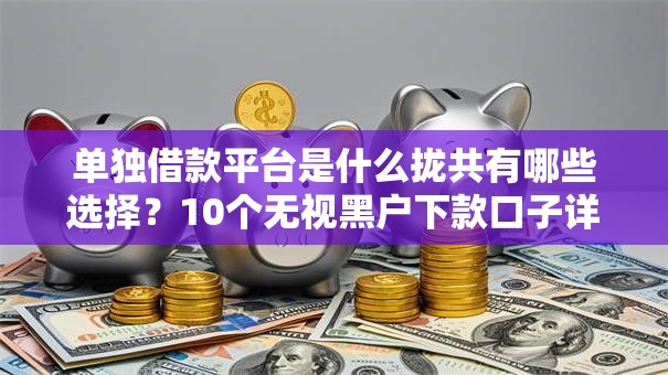 单独借款平台是什么拢共有哪些选择?10个无视黑户下款口子详解 单独借款平台是什么拢共有哪些选择?10个无视黑户下款口子详解