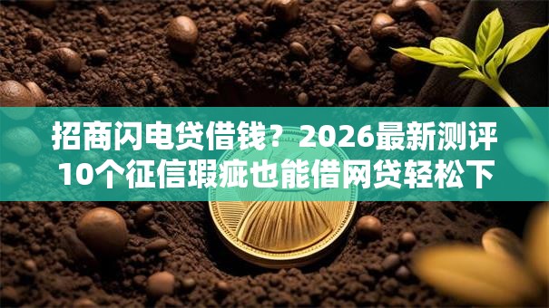 招商闪电贷借钱？2026最新测评10个征信瑕疵也能借网贷轻松下款的口子
