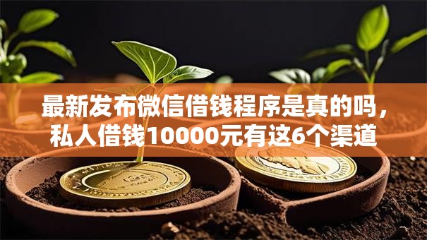 最新发布微信借钱程序是真的吗，私人借钱10000元有这6个渠道