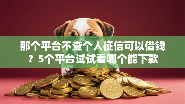 那个平台不查个人征信可以借钱？5个平台试试看哪个能下款