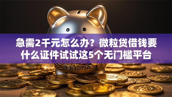 急需2千元怎么办？微粒贷借钱要什么证件试试这5个无门槛平台