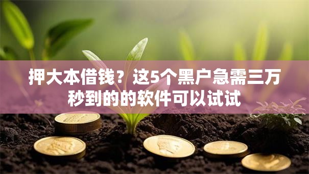 押大本借钱?这5个黑户急需三万秒到的的软件可以试试 押大本借钱?这5个黑户急需三万秒到的的软件可以试试