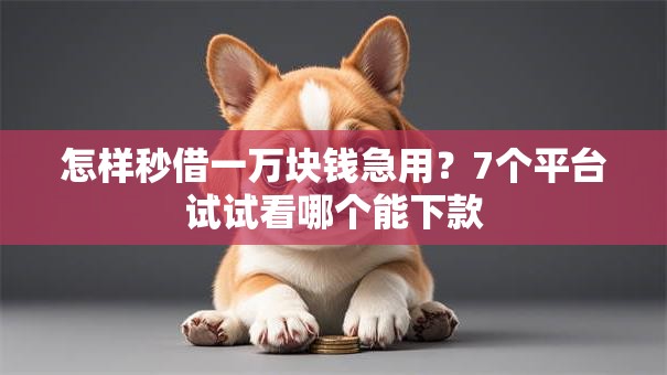 怎样秒借一万块钱急用？7个平台试试看哪个能下款