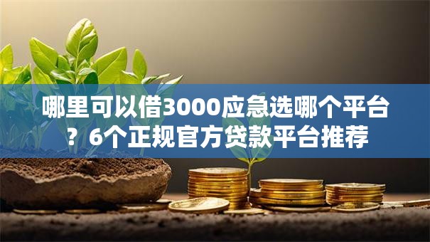 哪里可以借3000应急选哪个平台？6个正规官方贷款平台推荐