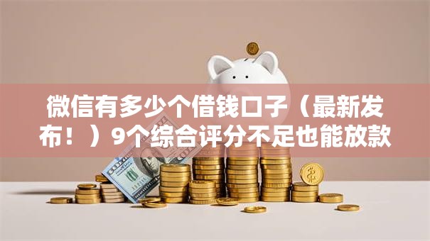 微信有多少个借钱口子（最新发布！）9个综合评分不足也能放款的平台