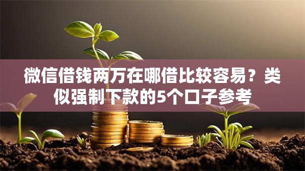 微信借钱两万在哪借比较容易?类似强制下款的5个口子参考 微信借钱两万在哪借比较容易?类似强制下款的5个口子参考
