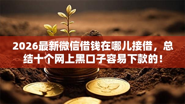 2026最新微信借钱在哪儿接借，总结十个网上黑口子容易下款的！