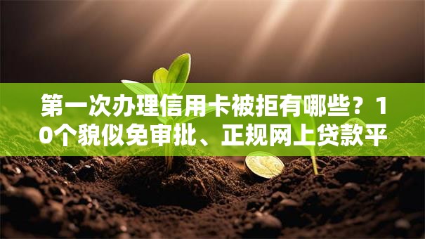 第一次办理信用卡被拒有哪些？10个貌似免审批、正规网上贷款平台合集