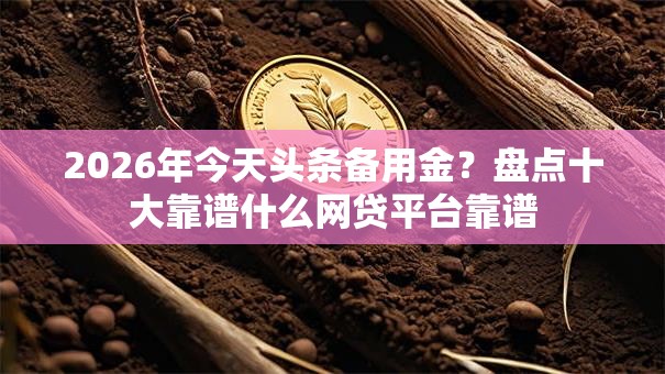 2026年今天头条备用金？盘点十大靠谱什么网贷平台靠谱