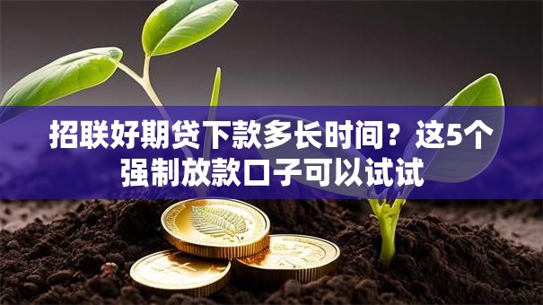 招联好期贷下款多长时间？这5个强制放款口子可以试试