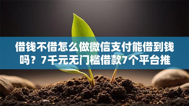 借钱不借怎么做微信支付能借到钱吗?7千元无门槛借款7个平台推荐 借钱不借怎么做微信支付能借到钱吗?7千元无门槛借款7个平台推荐