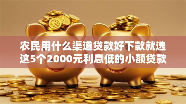 农民用什么渠道贷款好下款就选这5个2000元利息低的小额贷款平台