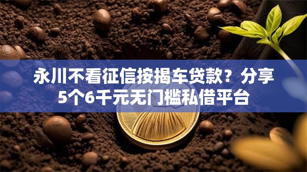永川不看征信按揭车贷款?分享5个6千元无门槛私借平台 永川不看征信按揭车贷款?分享5个6千元无门槛私借平台