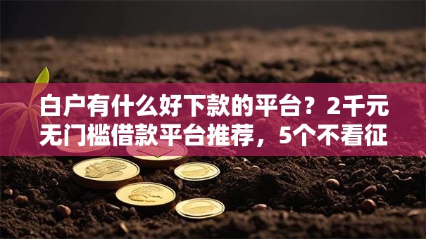白户有什么好下款的平台？2千元无门槛借款平台推荐，5个不看征信小额借钱的口子盘点