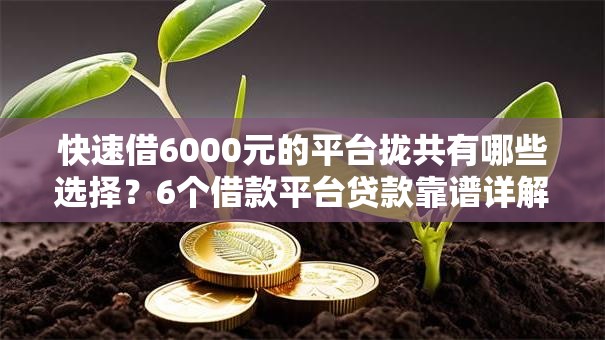 快速借6000元的平台拢共有哪些选择？6个借款平台贷款靠谱详解