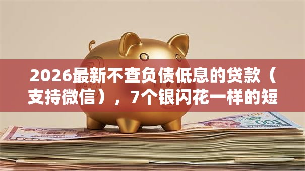 2026最新不查负债低息的贷款(支持微信),7个银闪花一样的短期平台无私分享 2026最新不查负债低息的贷款(支持微信),7个银闪花一样的短期平台无私分享