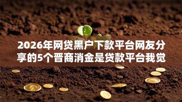 2026年网贷黑户下款平台网友分享的5个晋商消金是贷款平台我觉得不错！