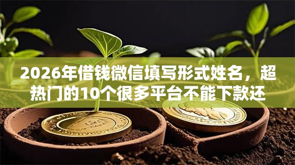 2026年借钱微信填写形式姓名,超热门的10个很多平台不能下款还其他平台推荐 2026年借钱微信填写形式姓名,超热门的10个很多平台不能下款还其他平台推荐