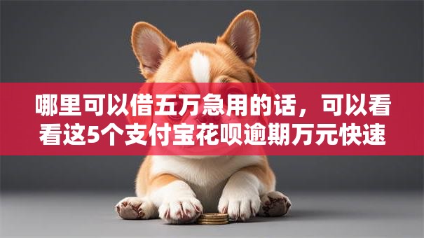 哪里可以借五万急用的话，可以看看这5个支付宝花呗逾期万元快速贷款软件