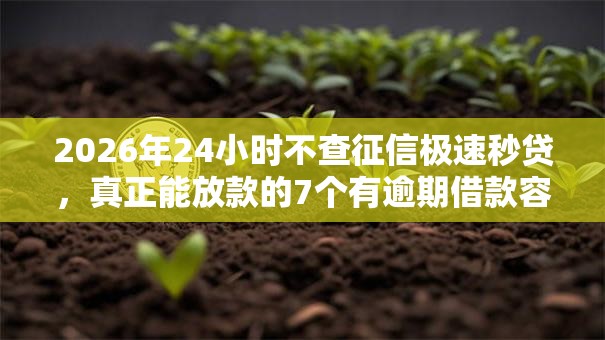 2026年24小时不查征信极速秒贷，真正能放款的7个有逾期借款容易通过的软件推荐