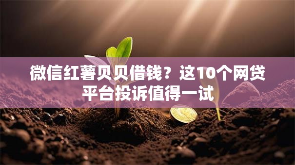 微信红薯贝贝借钱？这10个网贷平台投诉值得一试