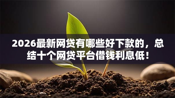 2026最新网贷有哪些好下款的,总结十个网贷平台借钱利息低! 2026最新网贷有哪些好下款的,总结十个网贷平台借钱利息低!