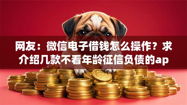 网友：微信电子借钱怎么操作？求介绍几款不看年龄征信负债的app